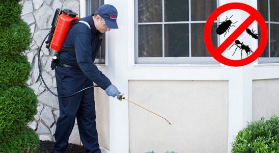 Çekmeköy Böcek İlaçlama böcek ilaçlama ve haşere kontrolü — ilaclama-tr.com